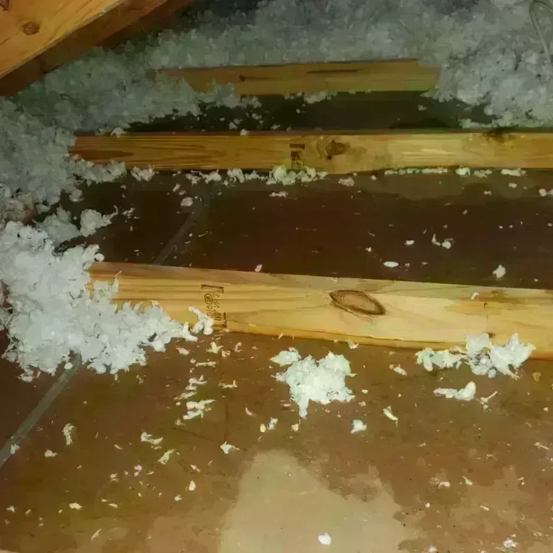 Attic Water Damage in Mascot, TN